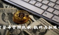 加密货币管理现状：挑战与机遇解析