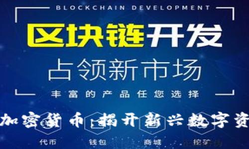 神州信息加密货币：揭开新兴数字资产的面纱