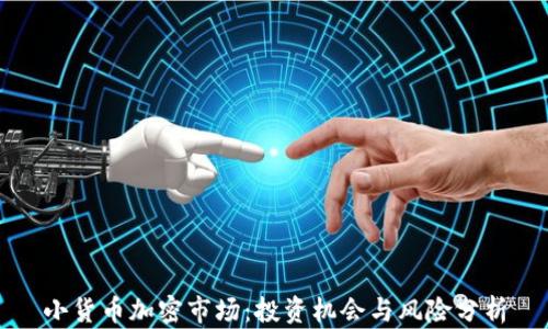 
小货币加密市场：投资机会与风险分析