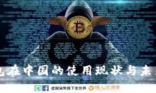 TP钱包在中国的使用现状与未来展望