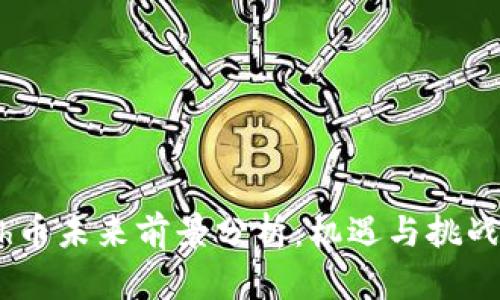 Math币未来前景分析:机遇与挑战并存