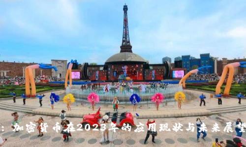 : 加密货币在2023年的应用现状与未来展望
