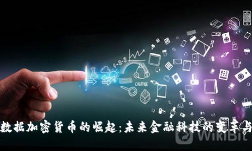 联邦数据加密货币的崛起:未来金融科技的变革与挑战