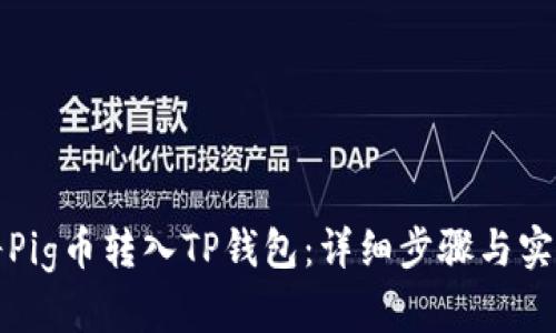 如何将Pig币转入TP钱包:详细步骤与实用技巧