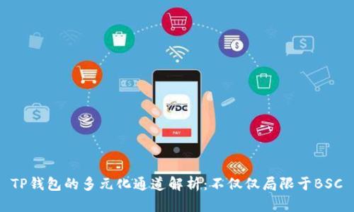 TP钱包的多元化通道解析:不仅仅局限于BSC