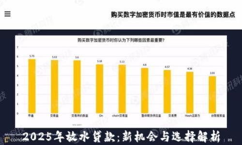
2025年放水贷款：新机会与选择解析