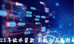 2025年放水贷款：新机会与选择解析