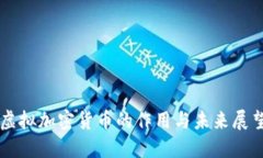 虚拟加密货币的作用与未来展望
