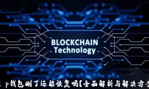 t p钱包删了还能恢复吗?全面解析与解决方案