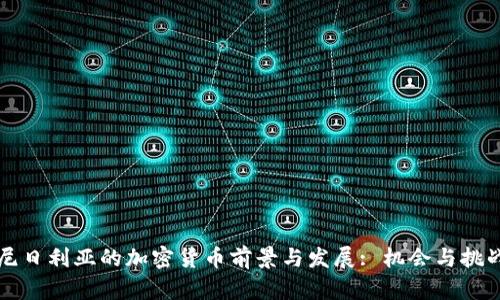 尼日利亚的加密货币前景与发展: 机会与挑战