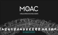 数字加密电子货币的未来发展前景：机