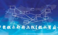t p 钱包为什么下载提示即将上线？揭