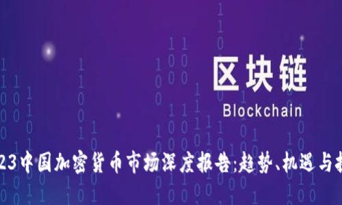 2023中国加密货币市场深度报告：趋势、机遇与挑战