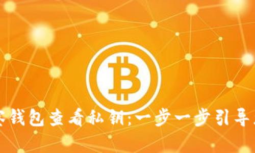 如何通过TP观察钱包查看私钥:一步一步引导您理解安全管理