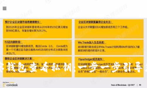 如何通过TP观察钱包查看私钥:一步一步引导您理解安全管理