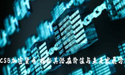 BCSB加密货币:揭秘其潜在价值与未来发展方向
